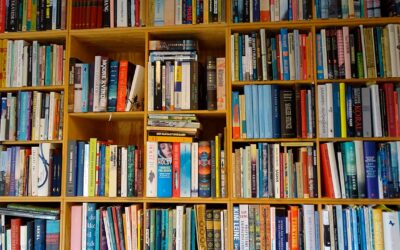 Ind i litteraturen