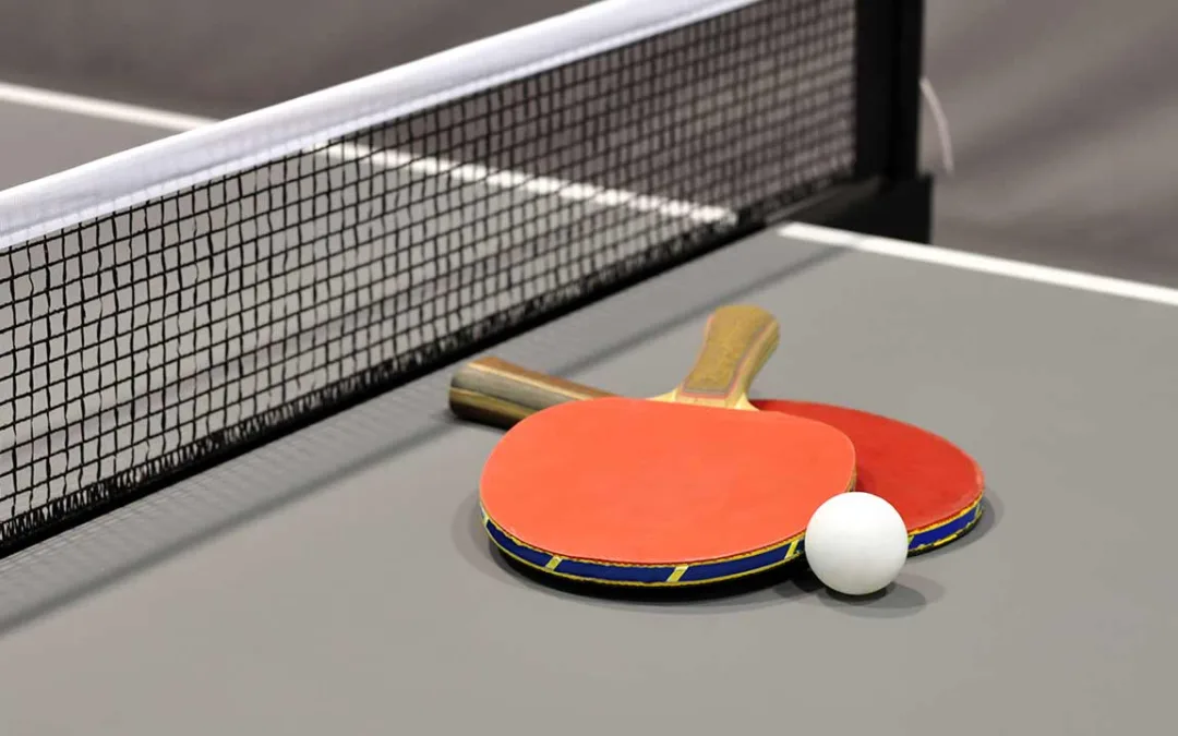 Bordtennis og højskole