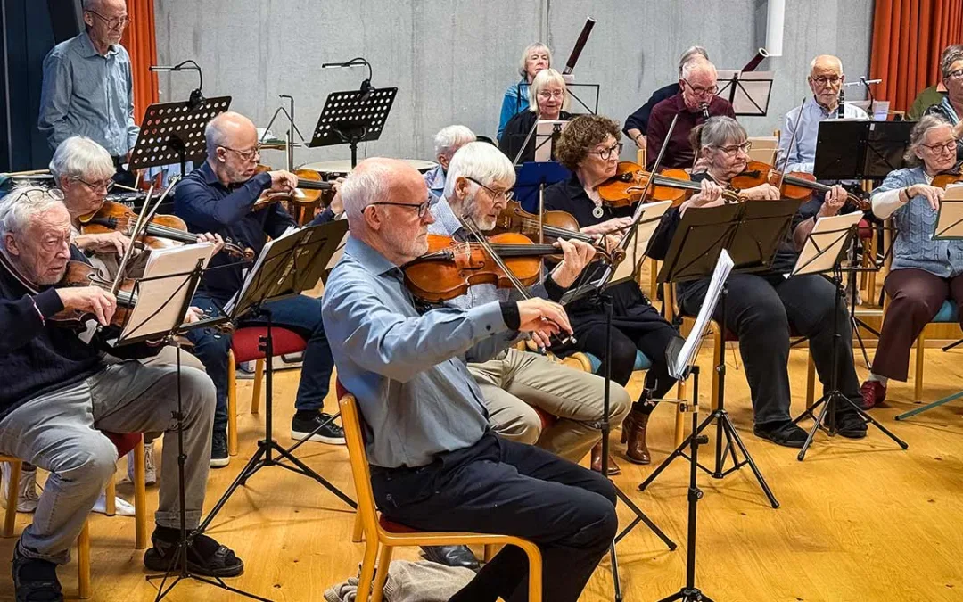 Symfoniorkester og højskole
