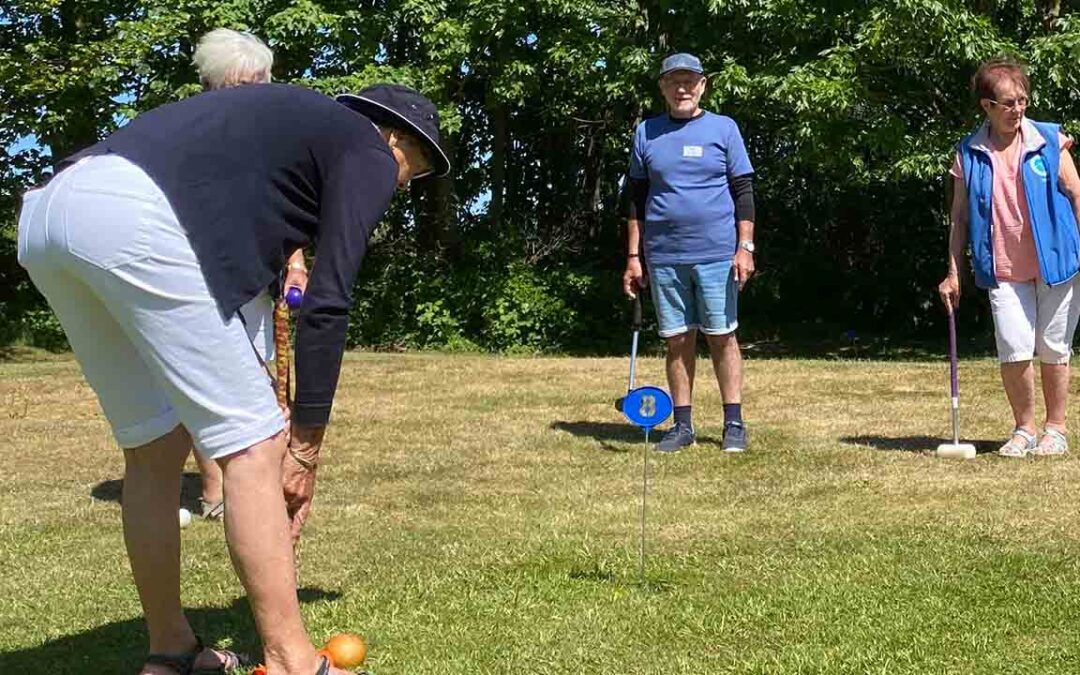Krolf og højskole – sensommer